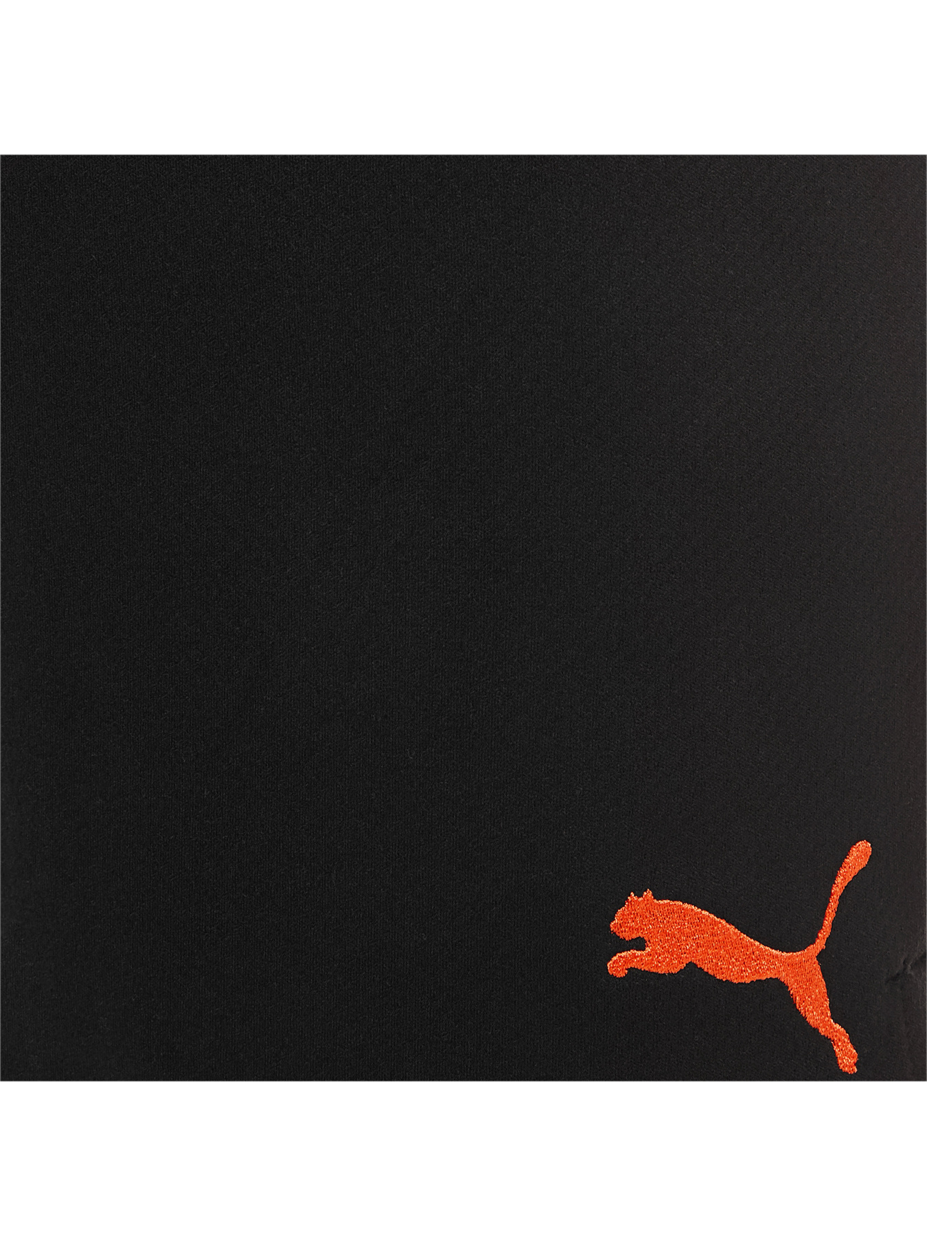 Шорты спортивные PUMA модель 764104 Фото