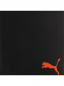 Шорты спортивные PUMA модель 764104 Фото