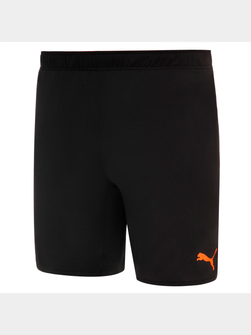 Шорты спортивные PUMA модель 764102 Фото