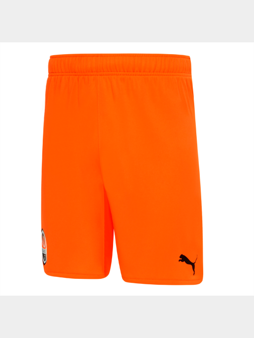 Шорты спортивные PUMA модель 764102 Фото