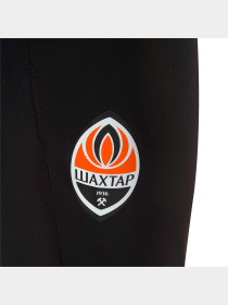 Штаны спортивные PUMA Fcsd Training Pants модель 764113 Фото