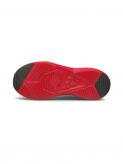 Кросівки для бігу PUMA Softride Enzo NXT модель 195234 — фото 5 - INTERTOP