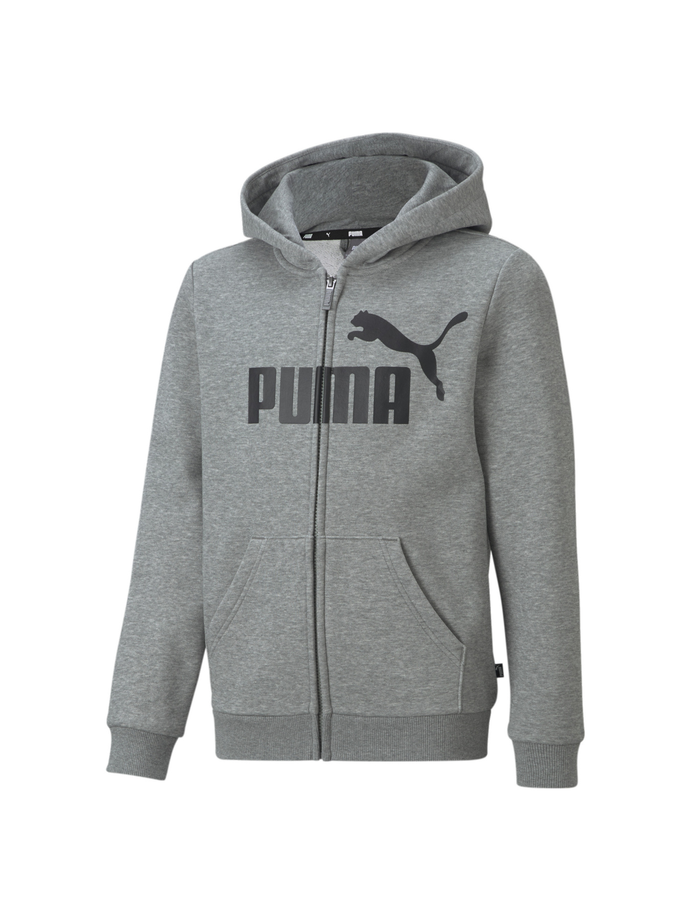 Кофта спортивная PUMA Ess Big Logo Fz Hoodie модель 586968 Фото