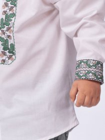 Вишита сорочка Едельвіка модель 99-21-00 Вишита сорочка Едельвіка модель 99-21-00 Фото