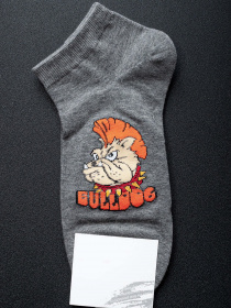 Носки ISSA Plus модель GNS-71_grey Фото