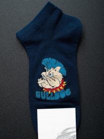 Носки и гольфы ISSA Plus модель GNS-71_blue Фото