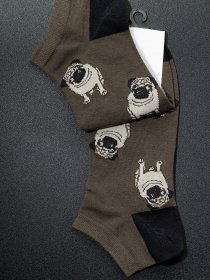 Носки ISSA Plus модель GNS-72_brown Фото