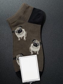 Носки ISSA Plus модель GNS-72_brown Фото