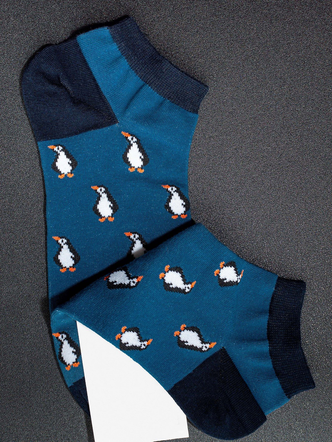 Носки ISSA Plus модель GNS-72_blue Фото