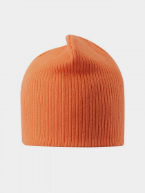 Шапка REIMA модель 538053_3210 Фото