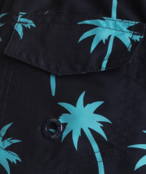 Шорти для плавання Atlantic модель KSS-002_GRA Фото