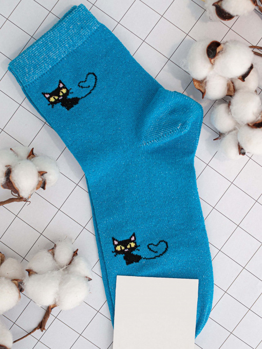 Шкарпетки та гольфи ISSA Plus модель NS-01_blue Фото