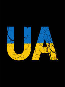 Футболка Роза модель 1111133 Фото