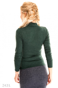 Водолазка ISSA Plus модель 2431_зеленый Фото