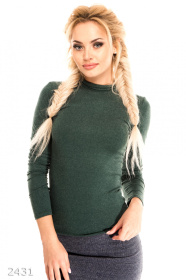 Водолазка ISSA Plus модель 2431_зеленый Фото