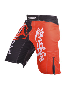 Спортивні шорти Berserk Sport модель KyokushinBlackSHRT Спортивні шорти Berserk Sport модель KyokushinBlackSHRT Фото