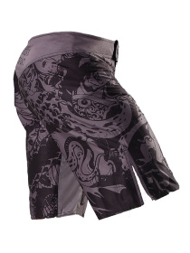 Шорты спортивные Berserk Sport модель SamurayGreySHRT Фото