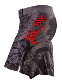 Шорты спортивные Berserk Sport модель SamurayGreySHRT Фото