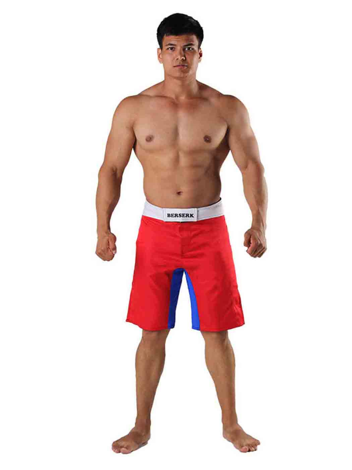 Шорты спортивные Berserk Sport модель LegacymultiRedSHRT Фото