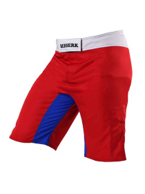 Шорты спортивные Berserk Sport модель LegacymultiRedSHRT Фото