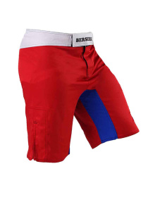 Шорты спортивные Berserk Sport модель LegacymultiRedSHRT Фото