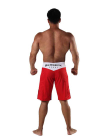 Шорты спортивные Berserk Sport модель LegacymultiRedSHRT Фото