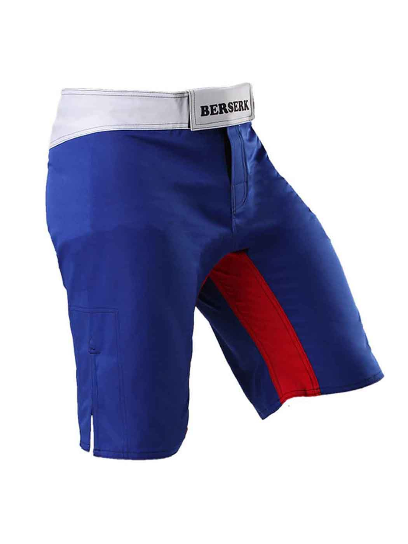 Шорты спортивные Berserk Sport модель LegacymultiBlueSHRT Фото