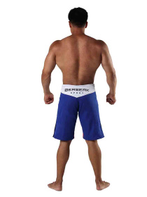 Шорты спортивные Berserk Sport модель LegacymultiBlueSHRT Фото