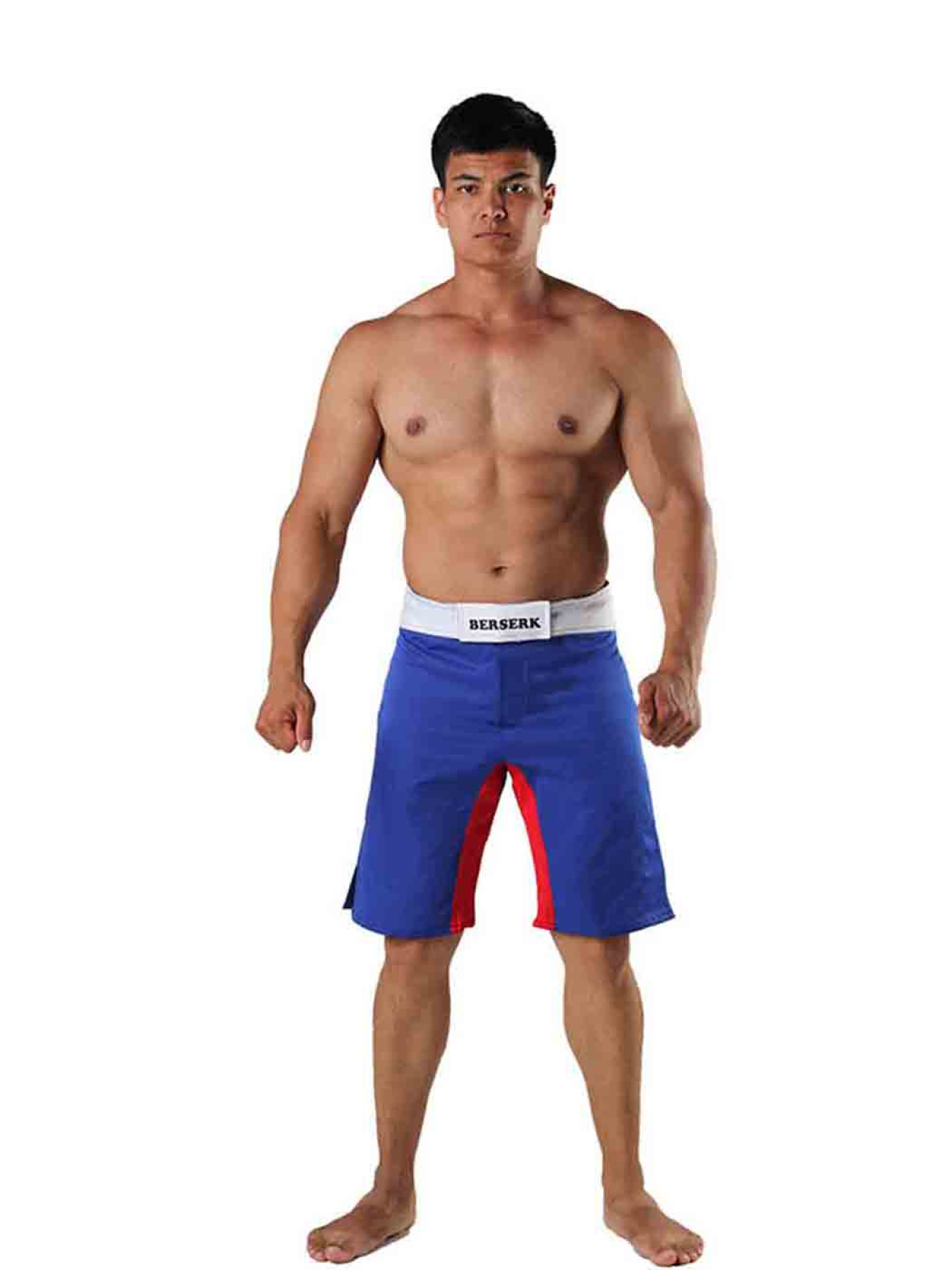 Шорты спортивные Berserk Sport модель LegacymultiBlueSHRT Фото