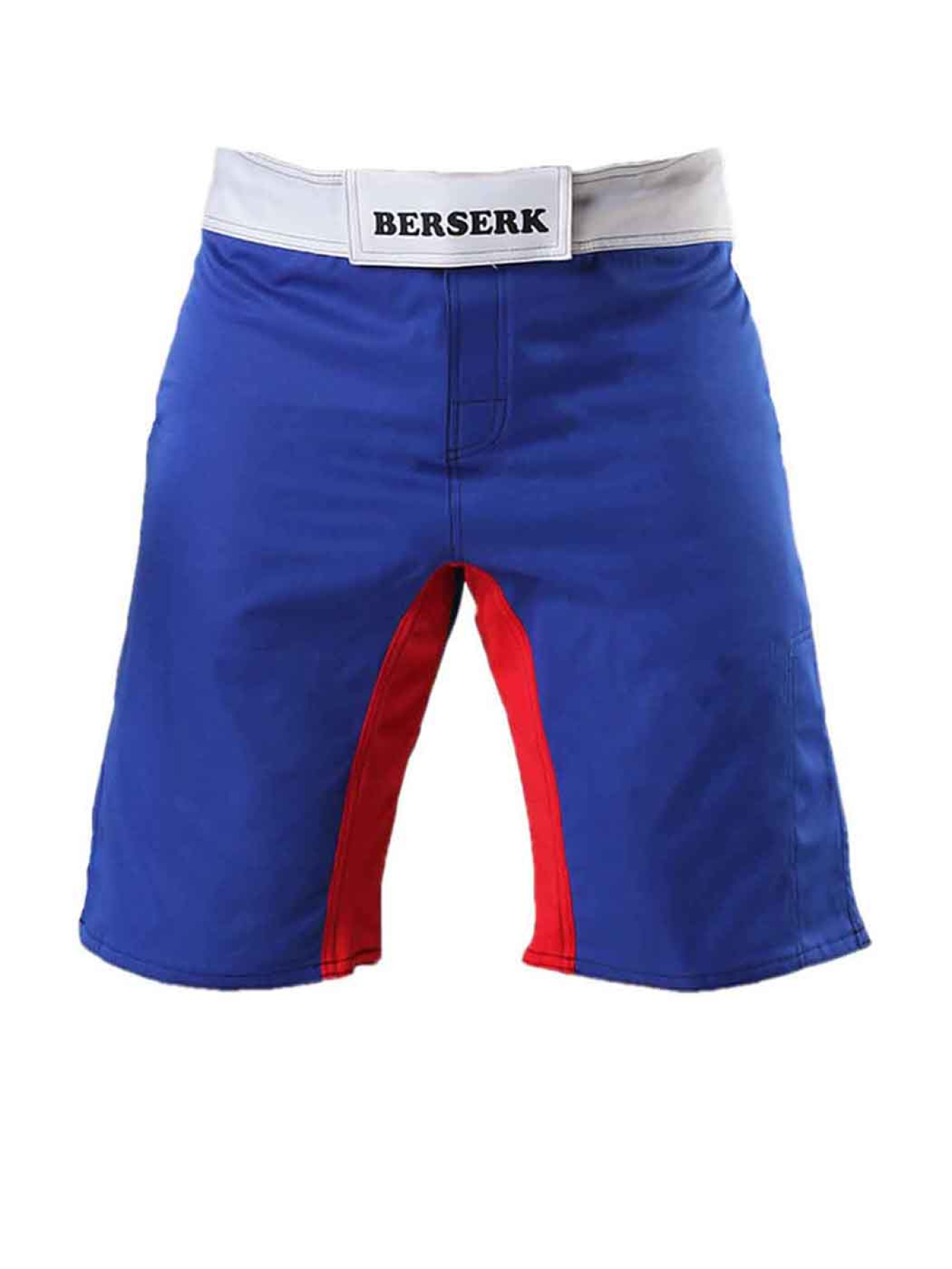 Шорты спортивные Berserk Sport модель LegacymultiBlueSHRT Фото