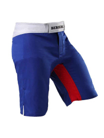 Шорты спортивные Berserk Sport модель LegacymultiBlueSHRT Фото
