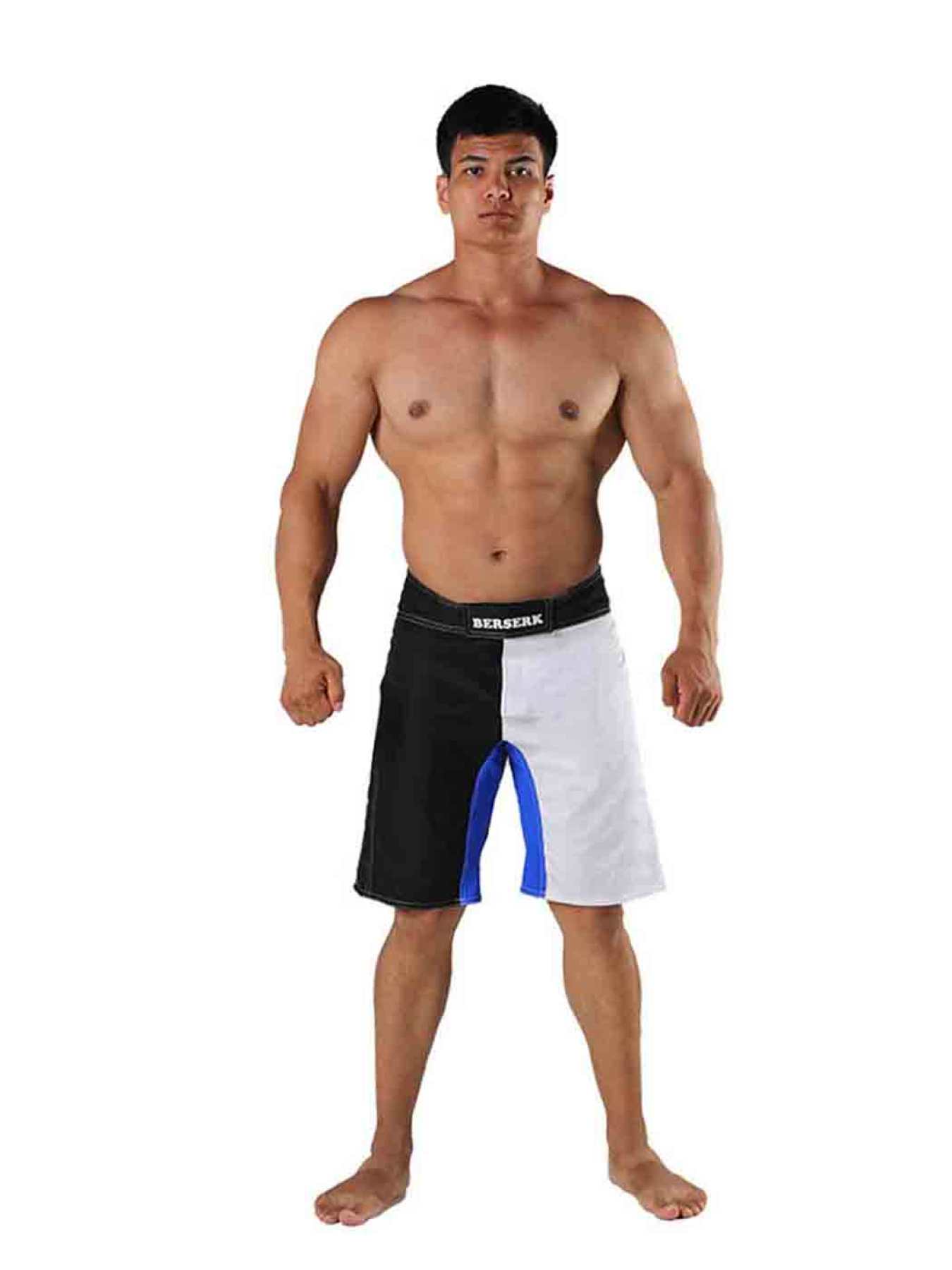 Шорты спортивные Berserk Sport модель LegacymultiWhiteSHRT Фото