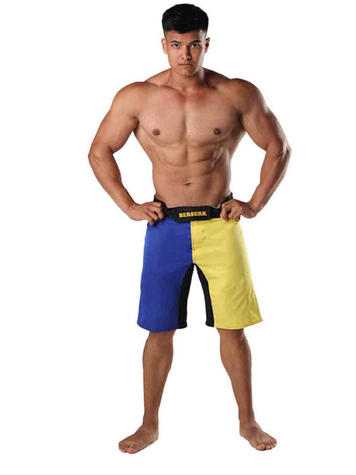 Шорты Berserk Sport модель LegacymultiYellowSHRT Фото