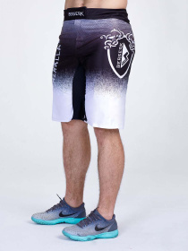 Шорты спортивные Berserk Sport модель SonsofOdinGreySHRT Фото