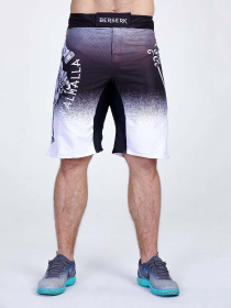 Шорты спортивные Berserk Sport модель SonsofOdinGreySHRT Фото