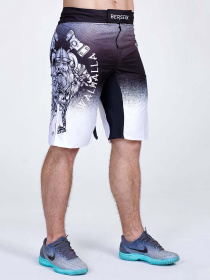 Спортивні шорти Berserk Sport модель SonsofOdinGreySHRT Спортивні шорти Berserk Sport модель SonsofOdinGreySHRT Фото