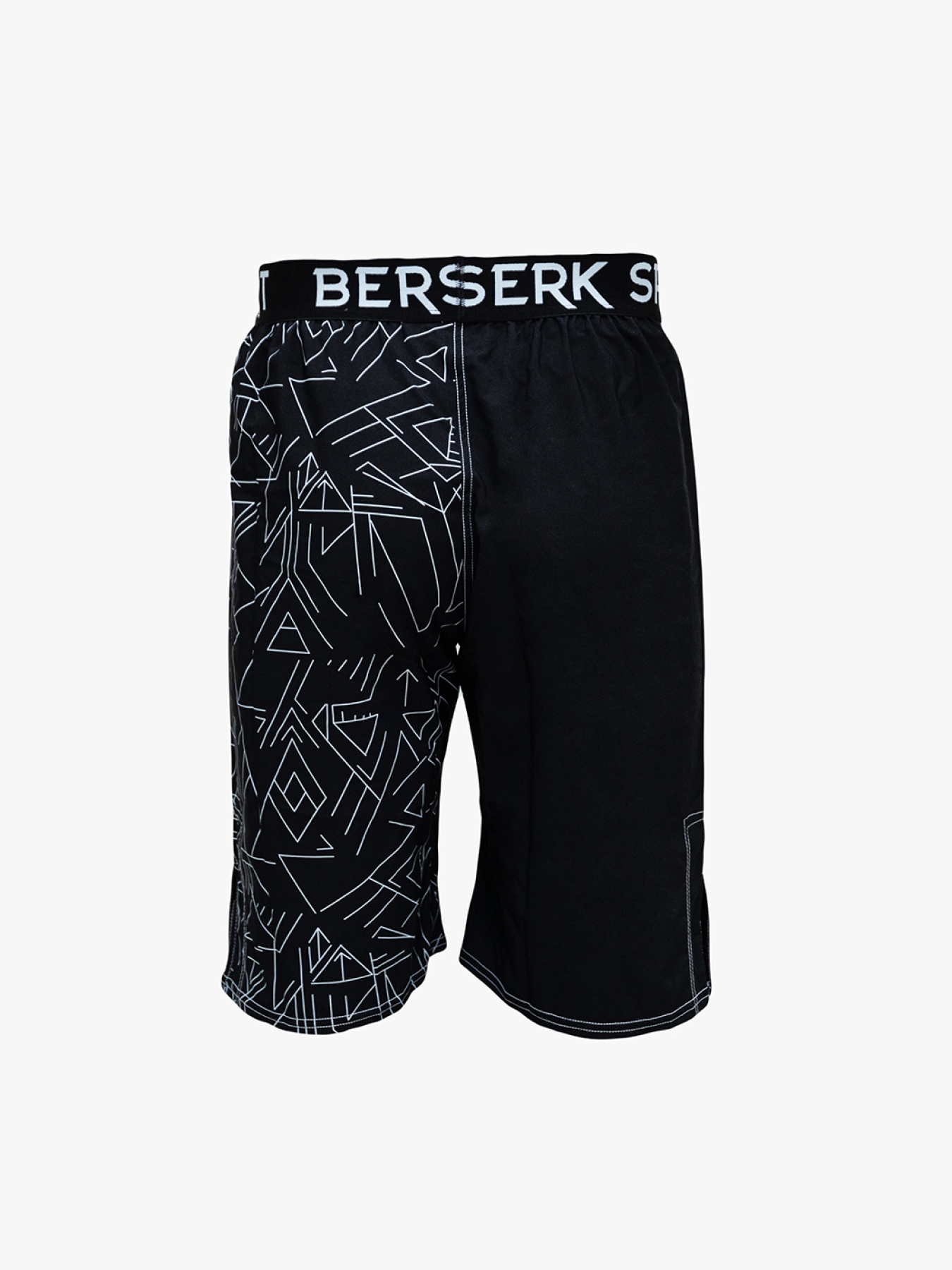 Шорты спортивные Berserk Sport модель ScandiFightBlackSHRT Фото