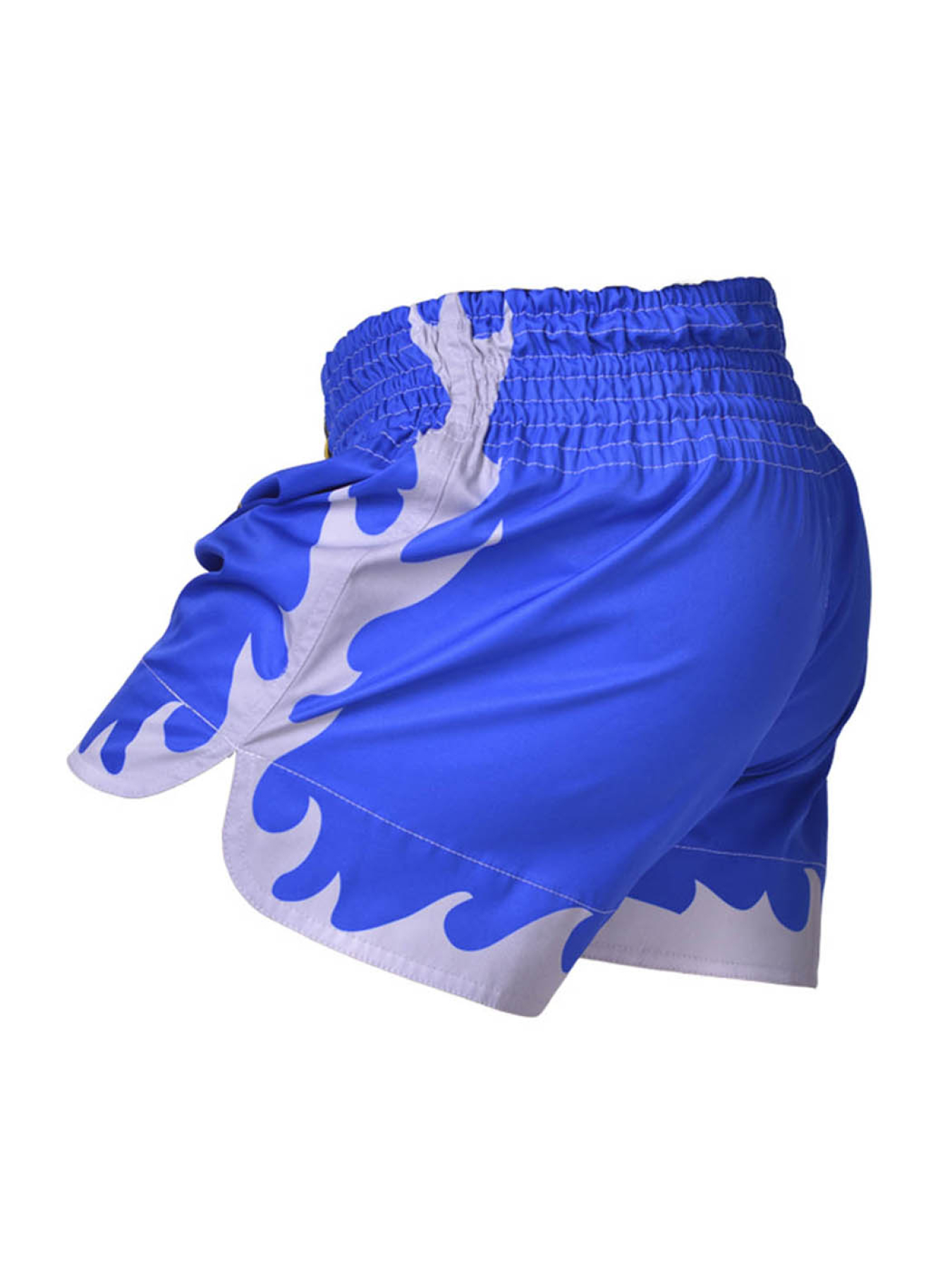 Шорты спортивные Berserk Sport модель MuayThaiFighterBlueSHRT Фото