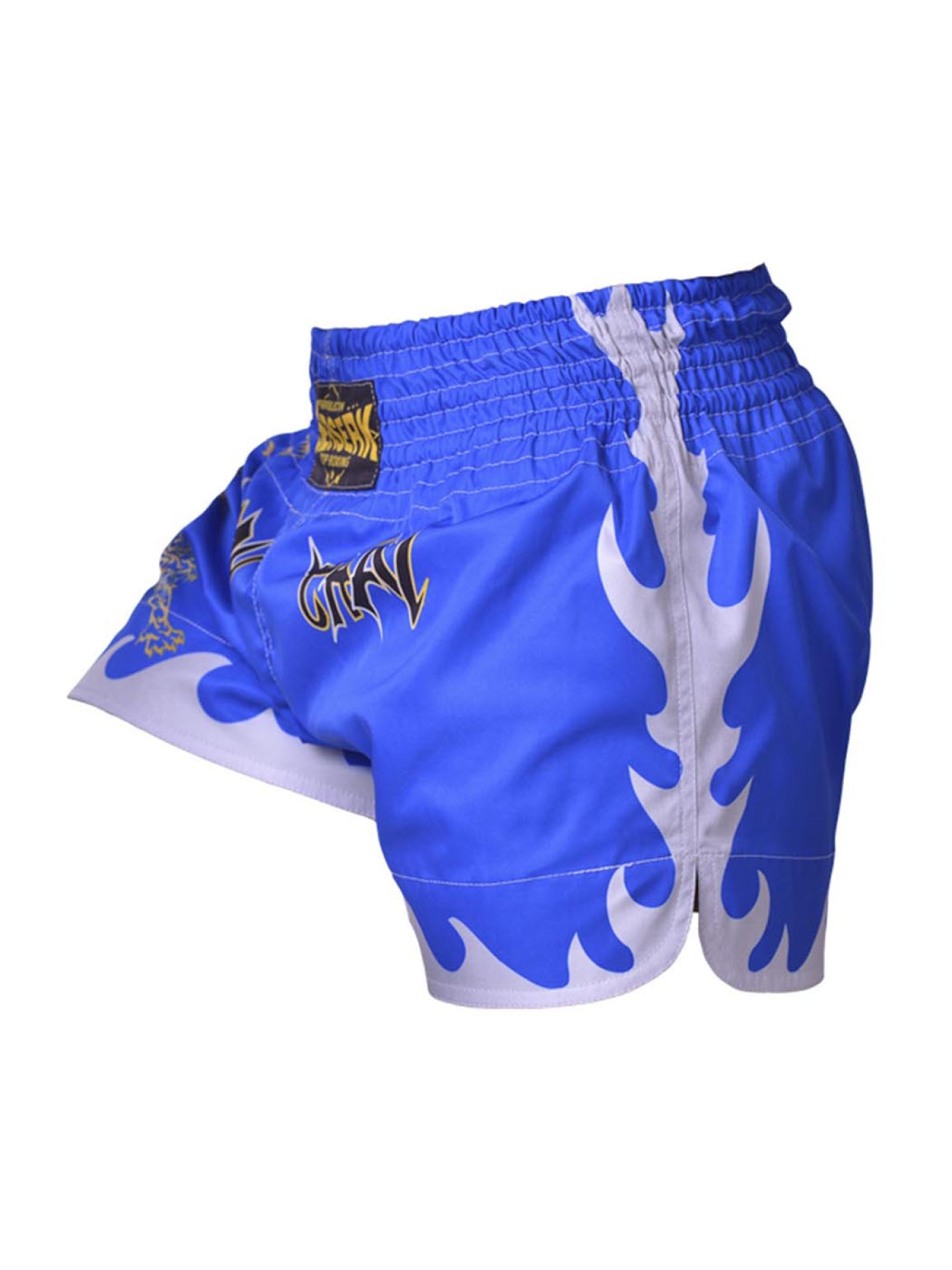 Шорты спортивные Berserk Sport модель MuayThaiFighterBlueSHRT Фото