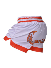 Шорты спортивные Berserk Sport модель MuayThaiFighterWhiteSHRT Фото
