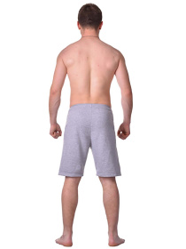 Шорты спортивные Berserk Sport модель SpeedTrainingGreySHRT Фото