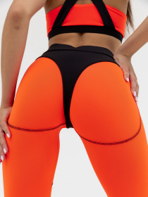 Спортивний комплект Nova Vega модель 501469-4444 Фото