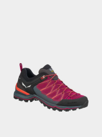 Кроссовки для тренировок Salewa модель 1d2b45c0-0c2c-11ed-810e-001dd8b72568 Фото