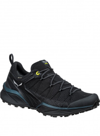 Кроссовки для тренировок Salewa модель 6025e7bb-0c34-11ed-810e-001dd8b72568 Фото