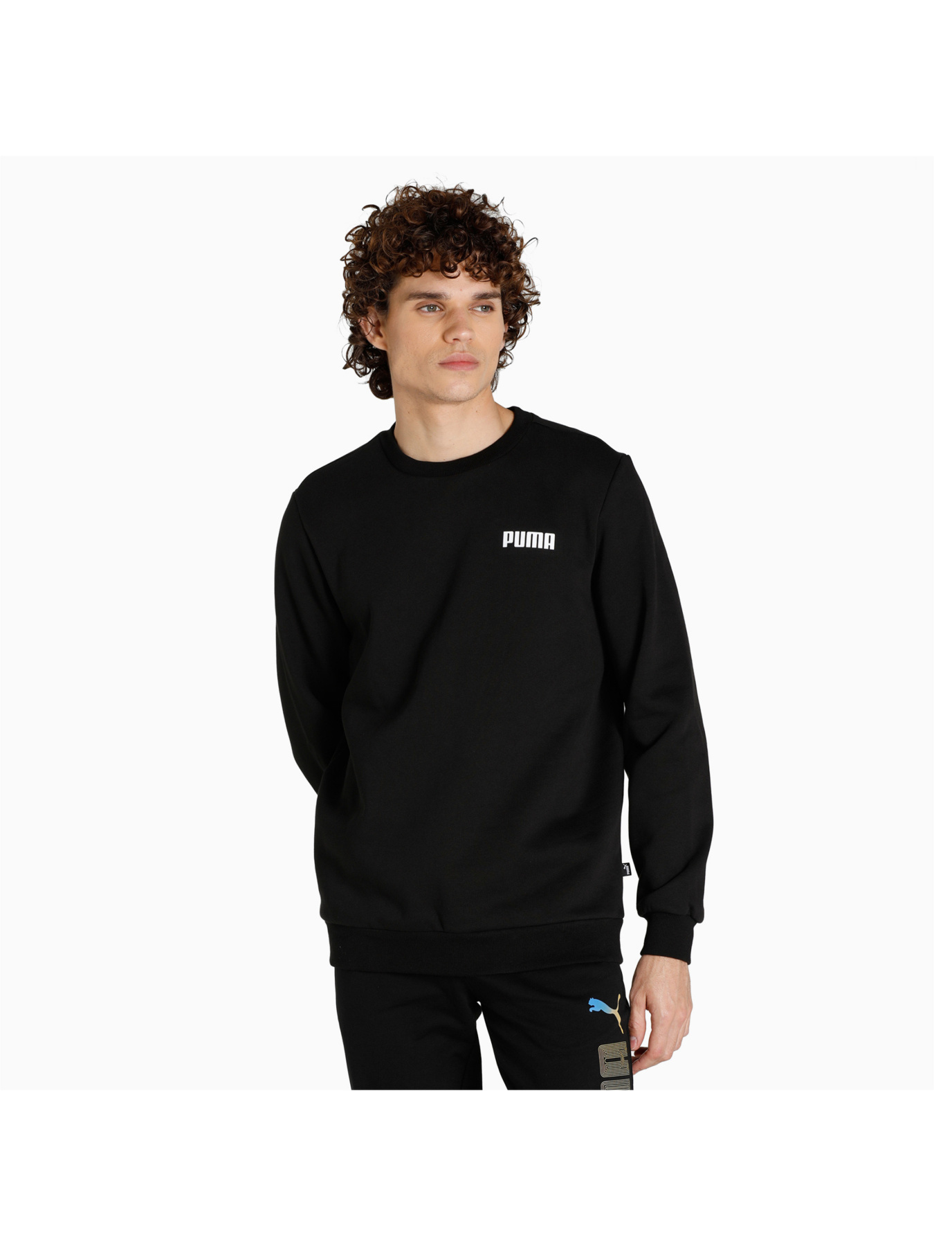 Худі та світшоти PUMA Ess Crew Sweat Fl M модель 847460 Худі та світшоти PUMA Ess Crew Sweat Fl M модель 847460 Фото