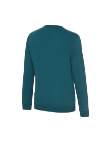 Свитшот PUMA Ess Crew Sweat Fl M модель 847460 Свитшот PUMA Ess Crew Sweat Fl M модель 847460 Фото