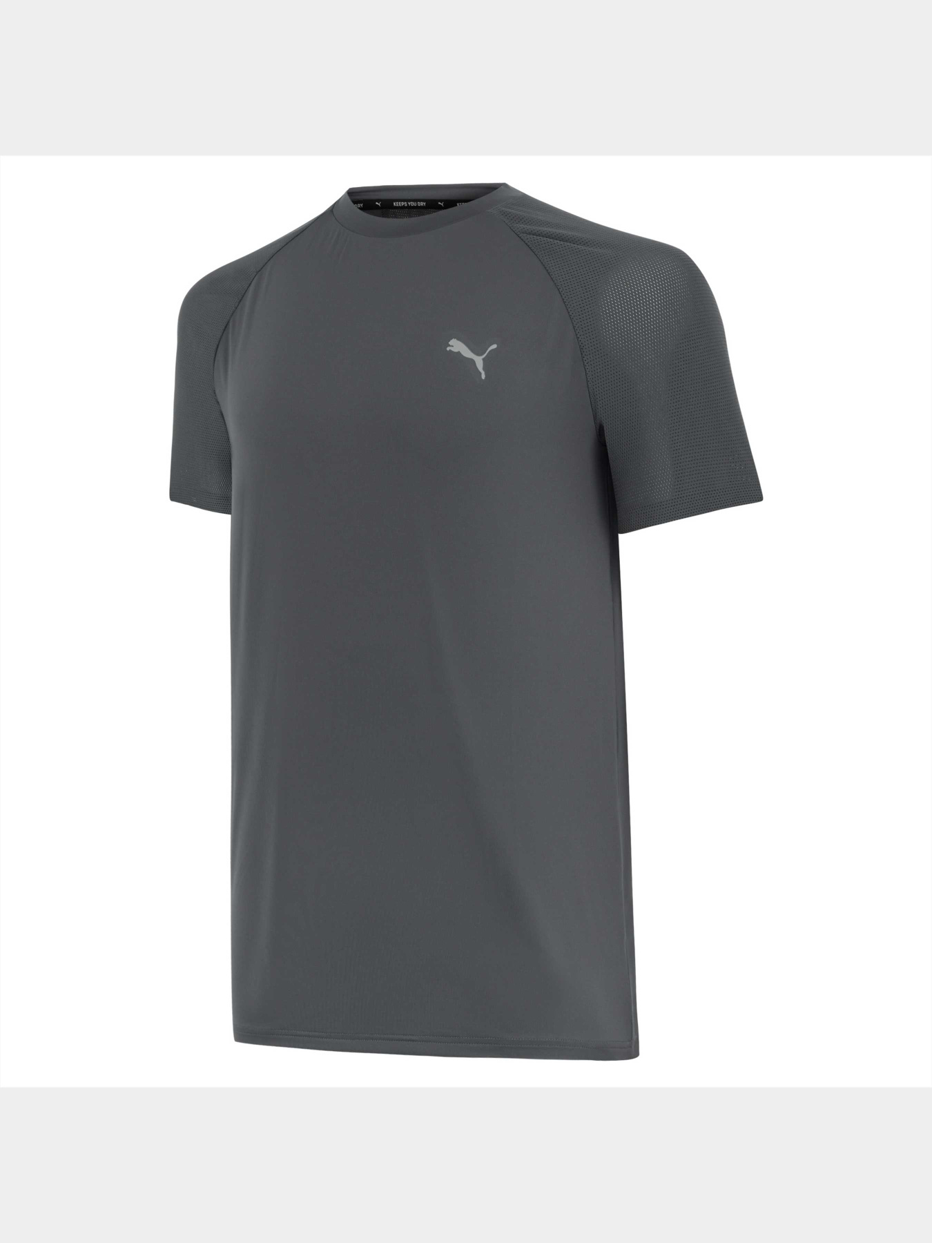 Футболки и поло PUMA Active Ess Tee Poly M модель 847187 Фото