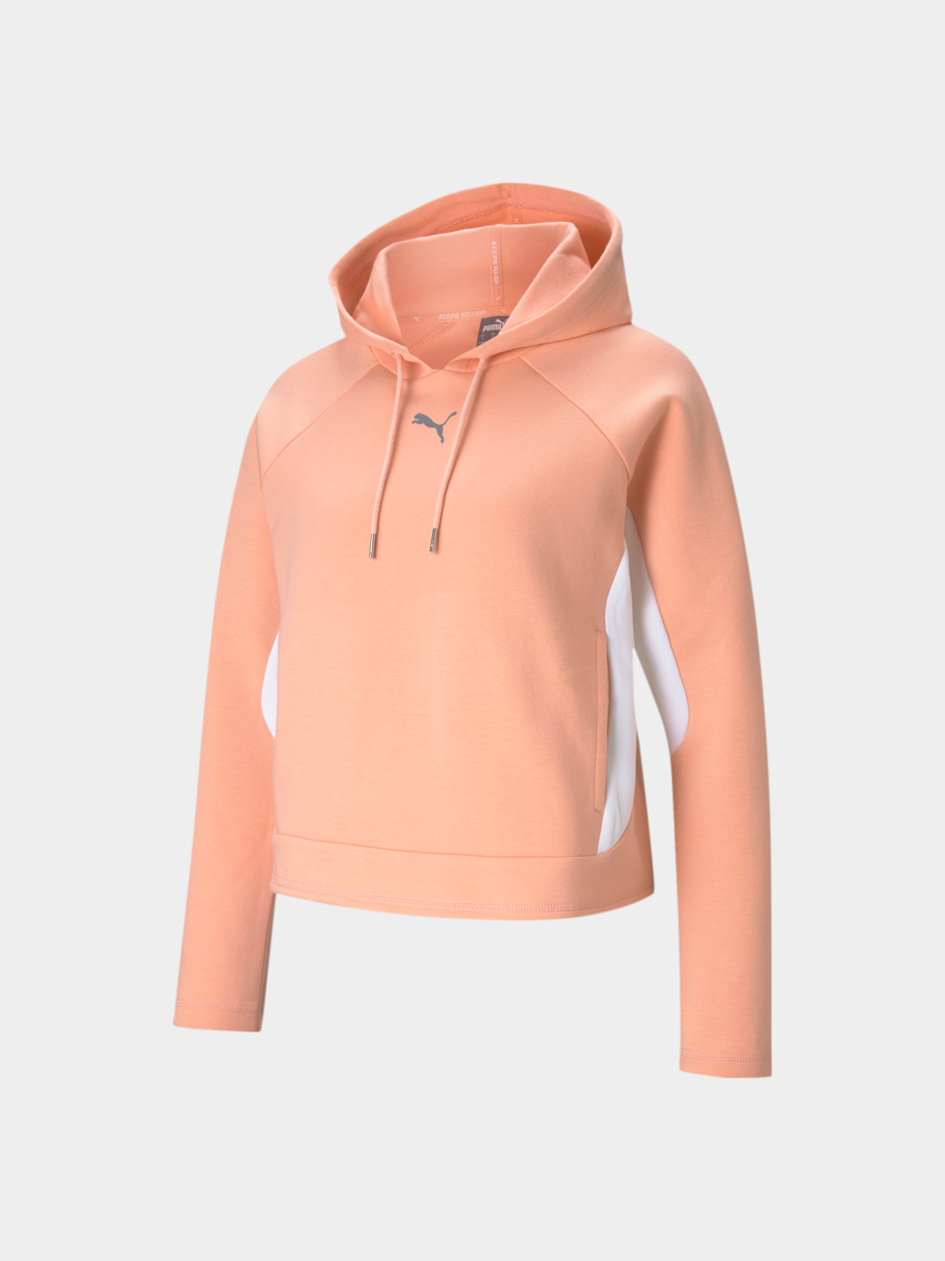 Свитшот PUMA Evostripe Hoodie модель 585944 Фото