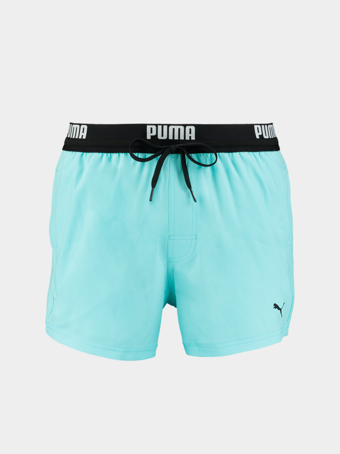 Шорты для плавания PUMA Swim Men Logo Short Len модель 907659 Фото