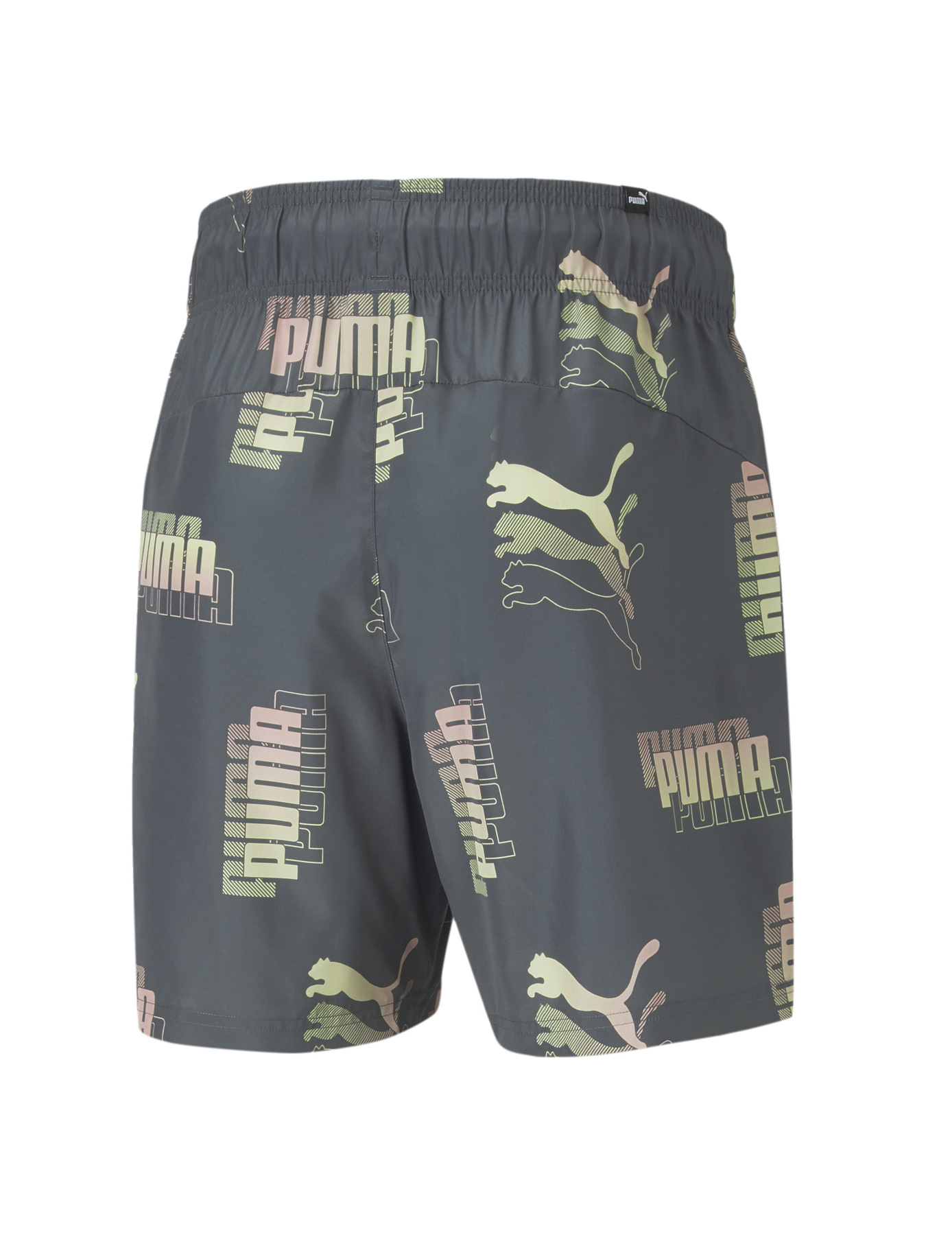 Шорты спортивные PUMA модель 671669 Фото